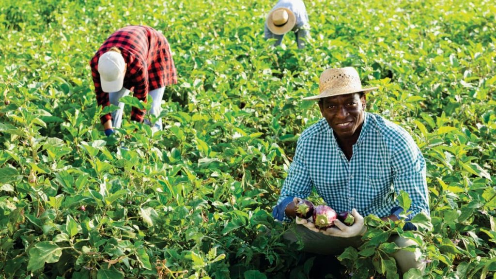 AfDB Approves $50m Loan for Yobe Climate Resilience Project