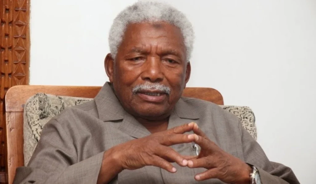 Ali-Hassan-Mwinyi (News Central TV)