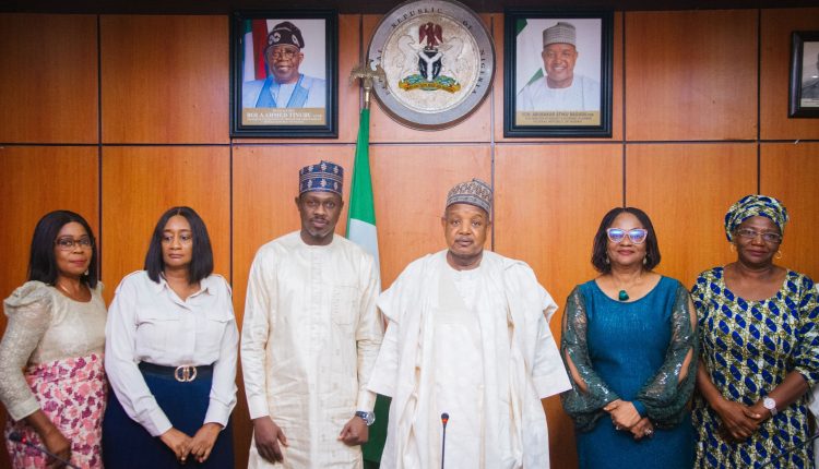 Bagudu Seeks Global Partnerships for Nigeria's Creative Industry