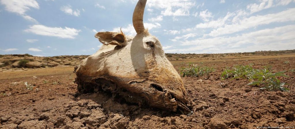 Climate Change Africa (news central tv)