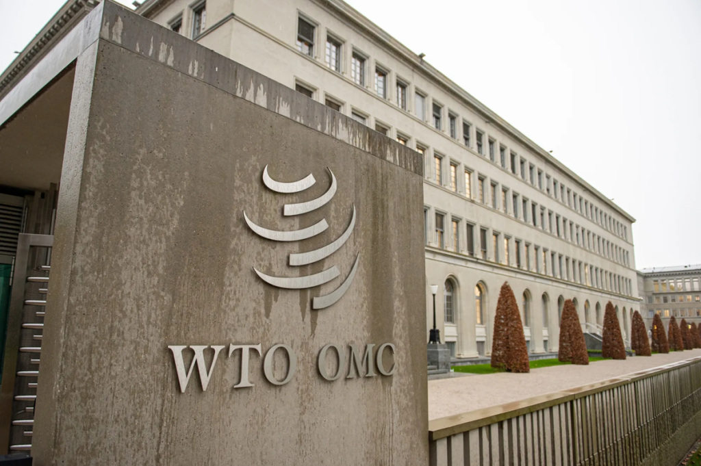 Cameroon to Host WTO Ministerial Conference in 2026