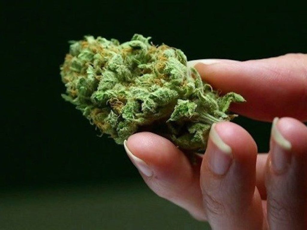 Cannabis Use Now Legalised in South Africa