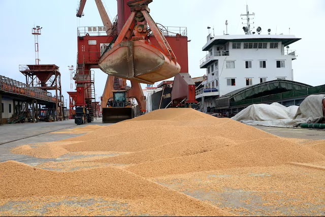 China Diversifies Soymeal Imports with Ethiopia