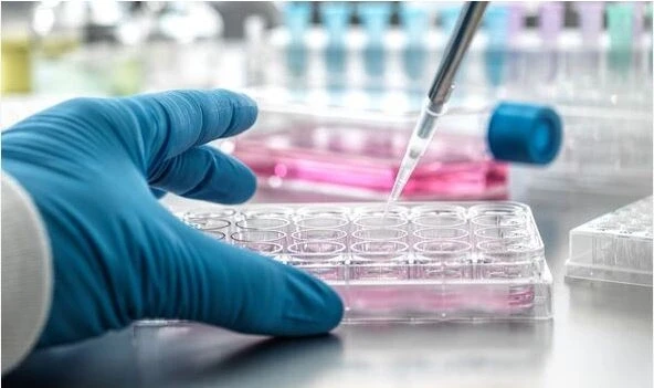 Chinese Scientists Claim to Have Found Cure for Diabetes