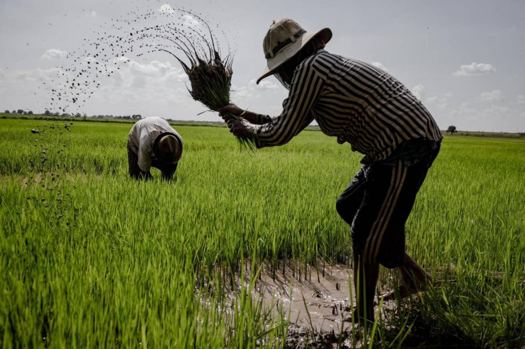 Climate Change Calls for Patience, Gombe Farmers Advised