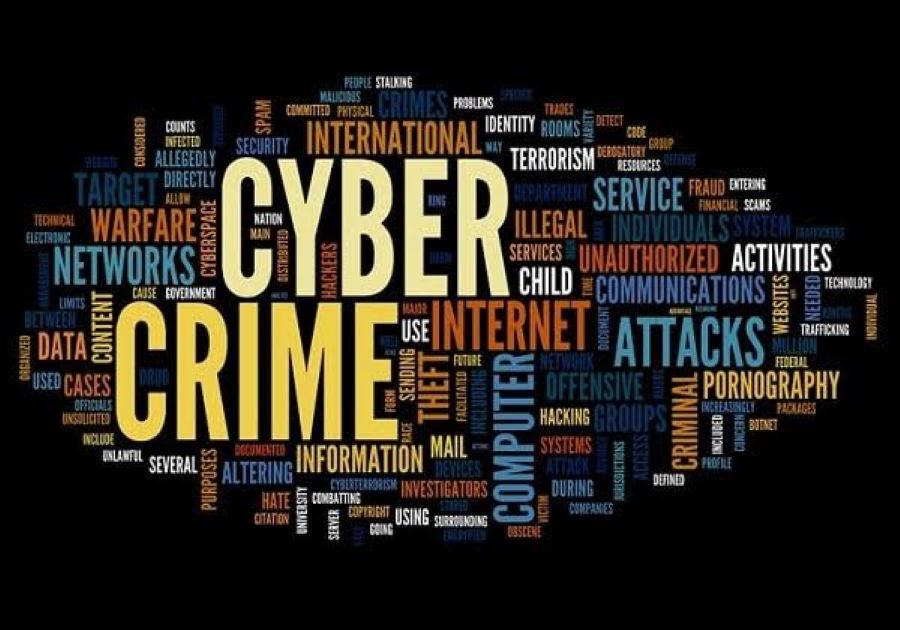 Cybercrime 