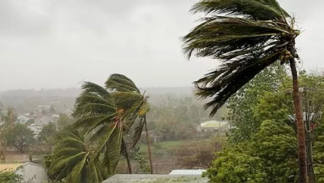 Cyclone Jude Kills Six and Damages Over 900 Homes in Mozambique