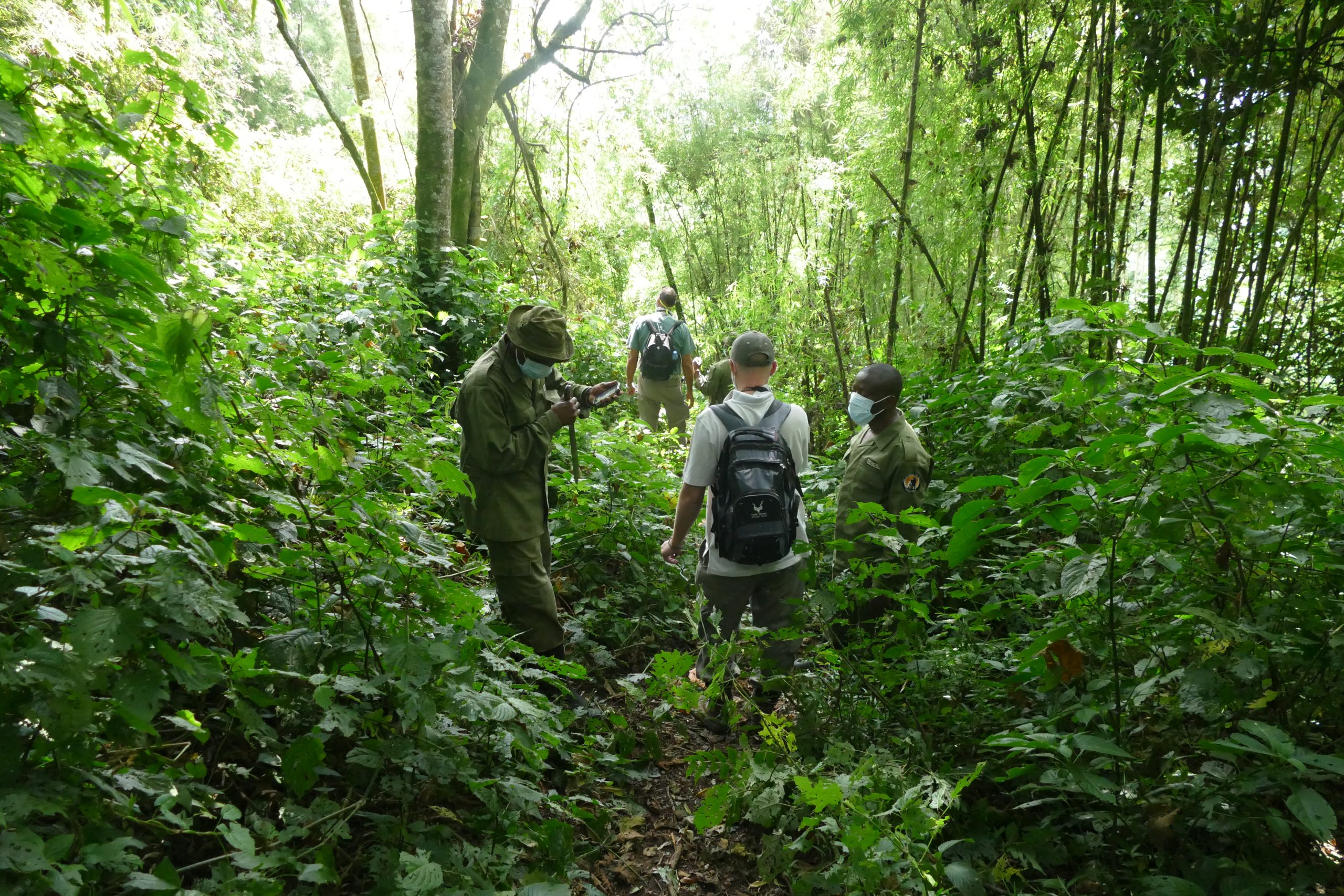 DR Congo- Two Wardens Die in Plane Crash