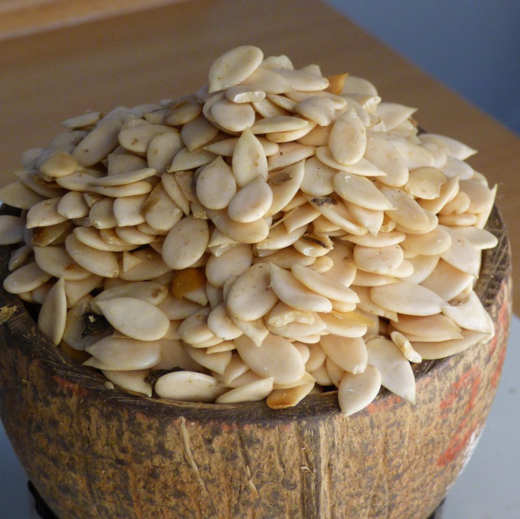 Egusi Seeds (News Central TV)