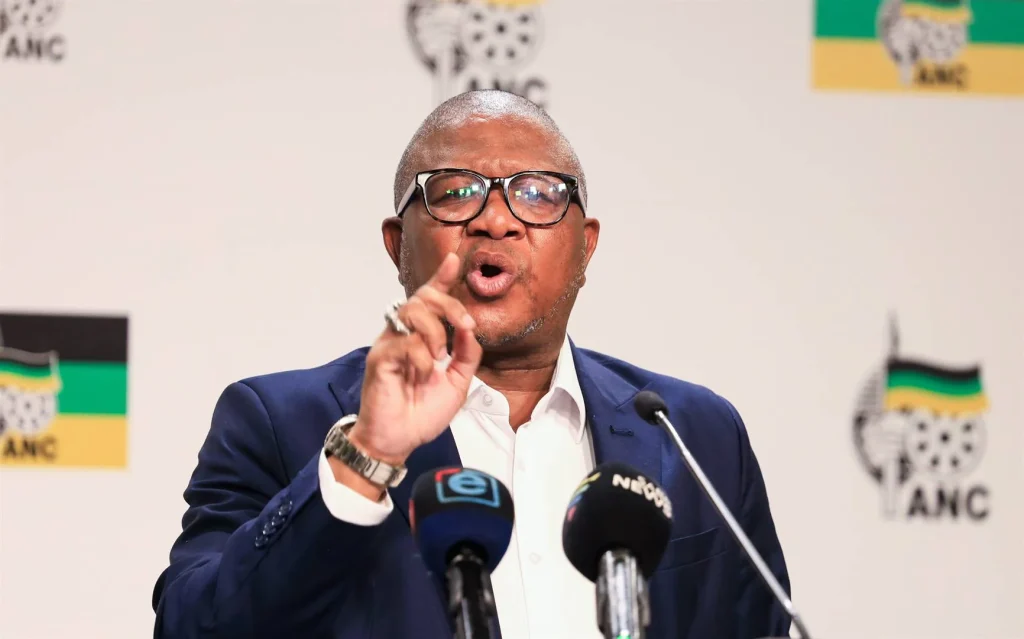 Fikile Mbalula (News Central TV )