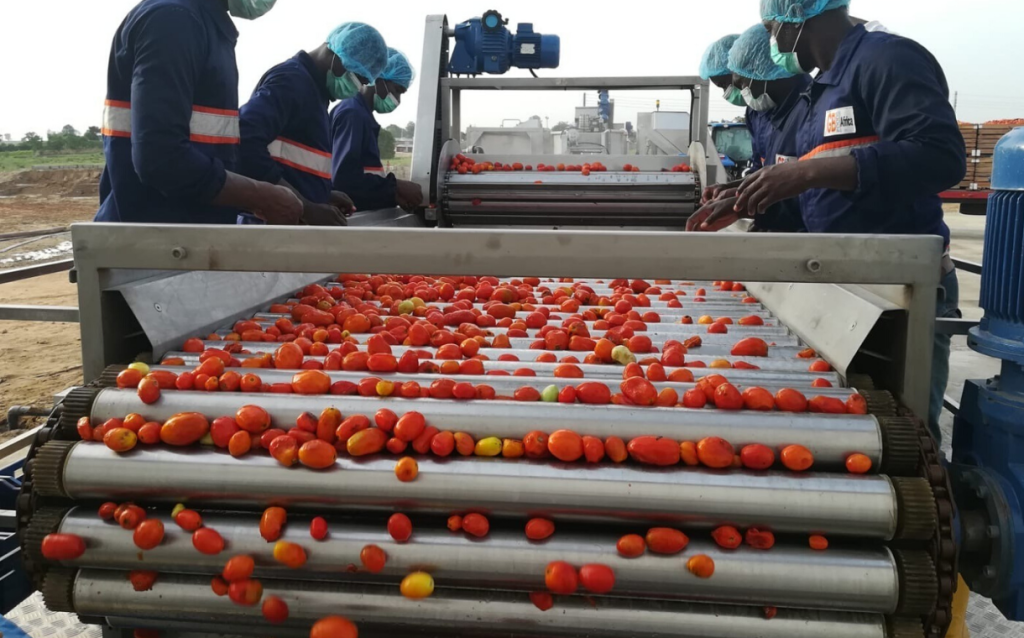 Food Processors Invest N23.8 Billion in Nigeria to Reduce Import Dependency