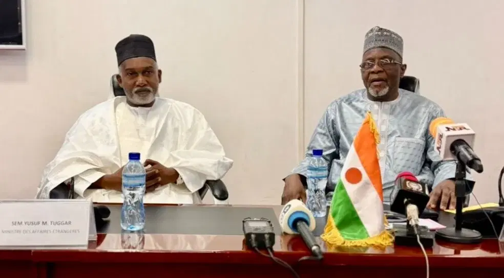 Foreign Ministers of Nigeria, Niger Meet on Security Talks