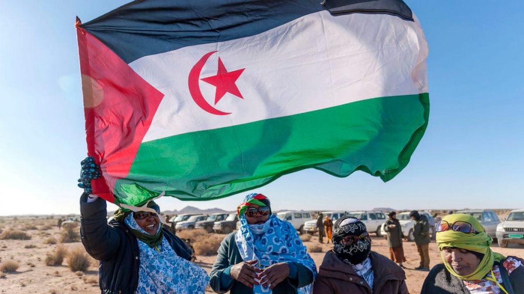 France to Invest $168 Million in Disputed Western Sahara
