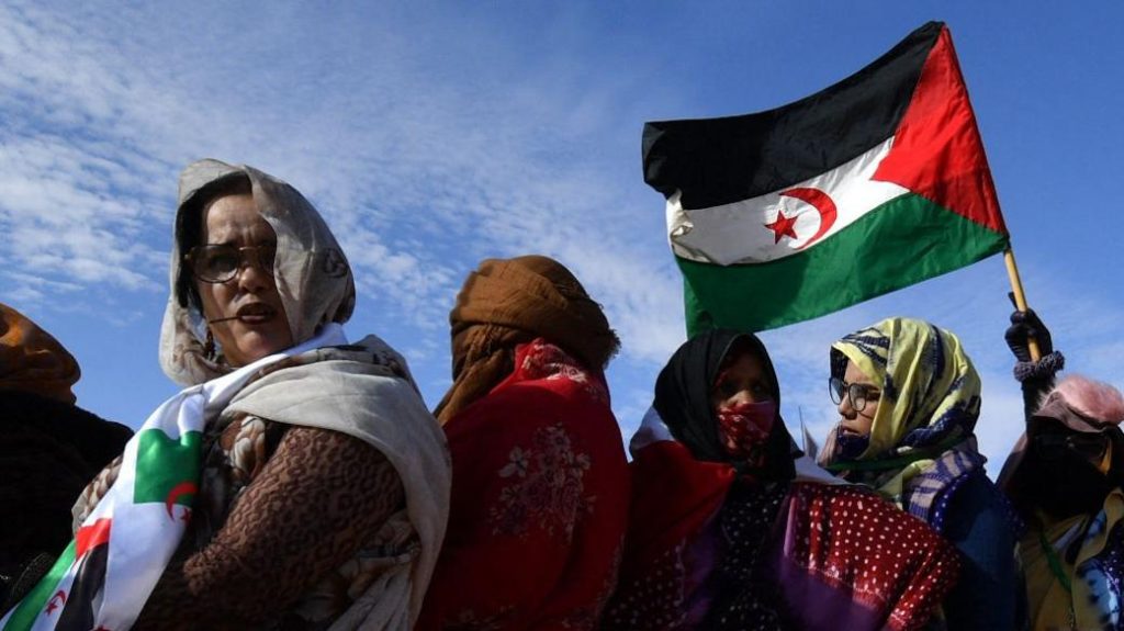 France to Invest $168 Million in Disputed Western Sahara