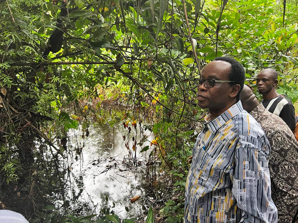 GMO TELA MAIZE (NEWS CENTRAL TV)