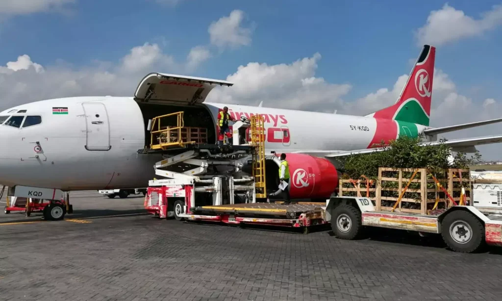 High-End Tourism Drives Africa’s Cargo Expansion