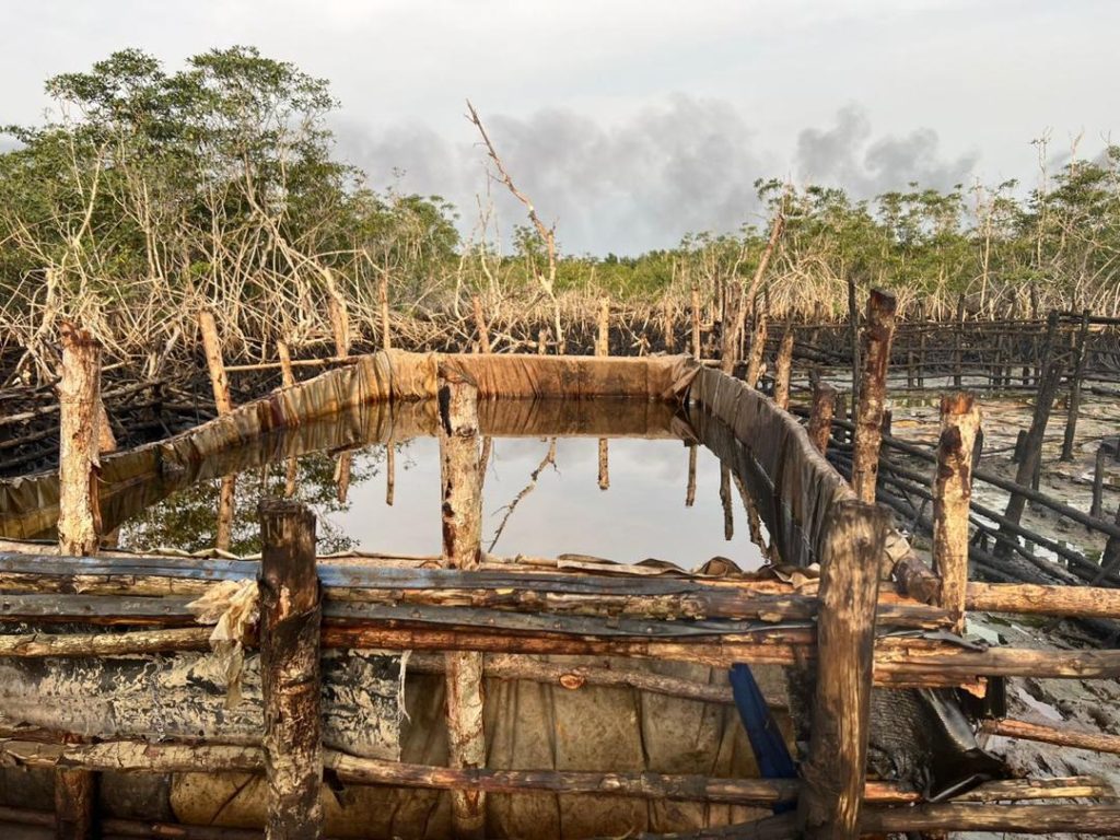 Illegal Refining Sites in Bayelsa (News Central TV)