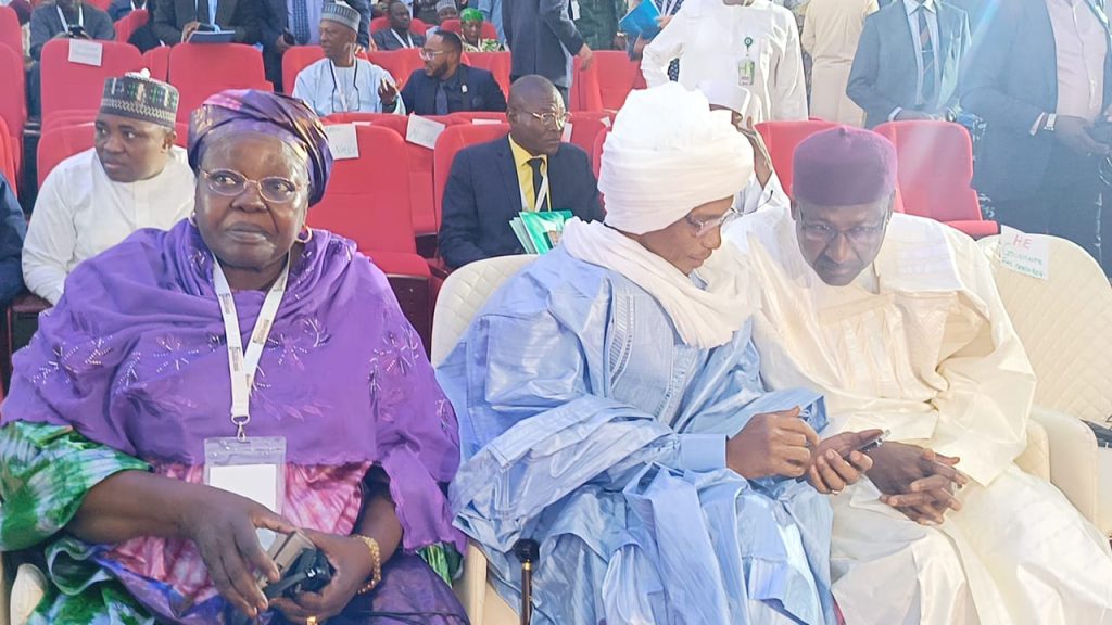 Lake Chad Leaders Meet to Address Regional Insecurity, Climate Issues