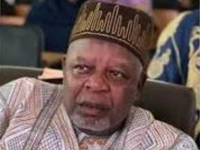 ransom_Maharazu Tsiga (News Central TV)