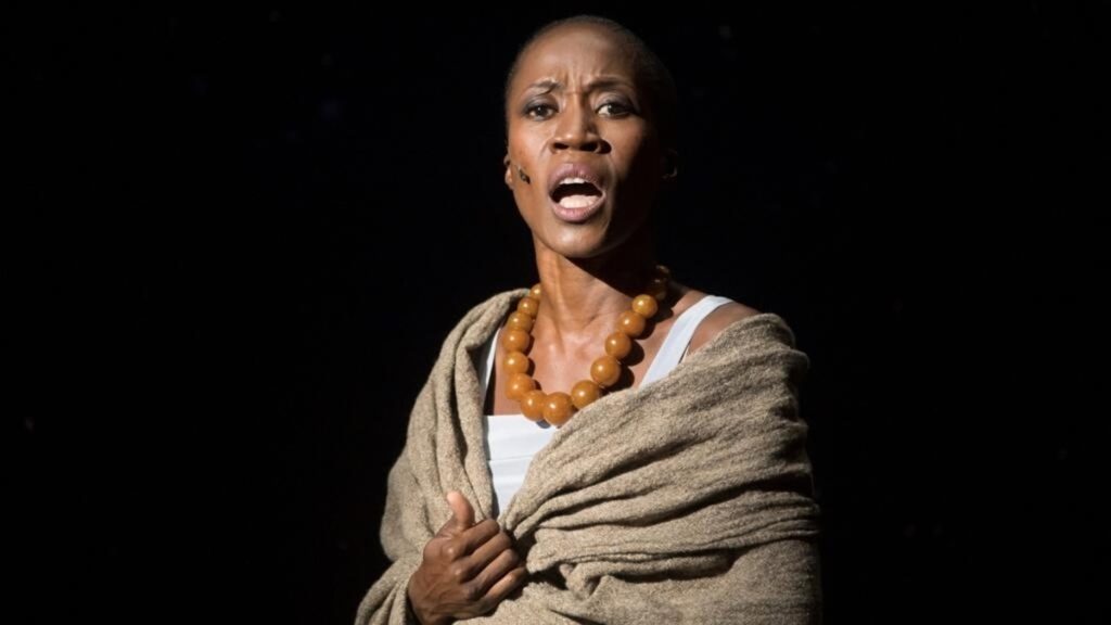 Malian Singer Rokia Traoré Detained in Italy in Child Custody Row