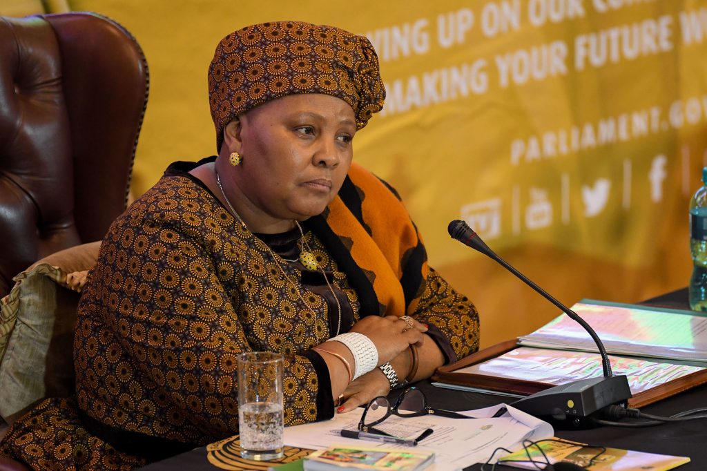 Speaker Nosiviwe Mapisa-Nqakula
