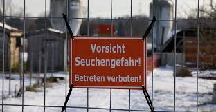 Morocco Bans German Grain Imports Due to FMD Outbreak