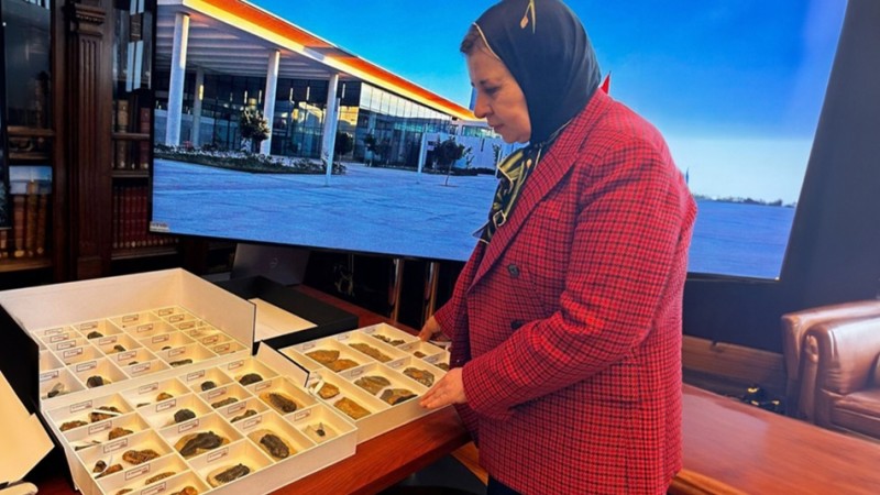 Morocco Retrieves 117 Fossils Dating Back 400 Million Years from Chile