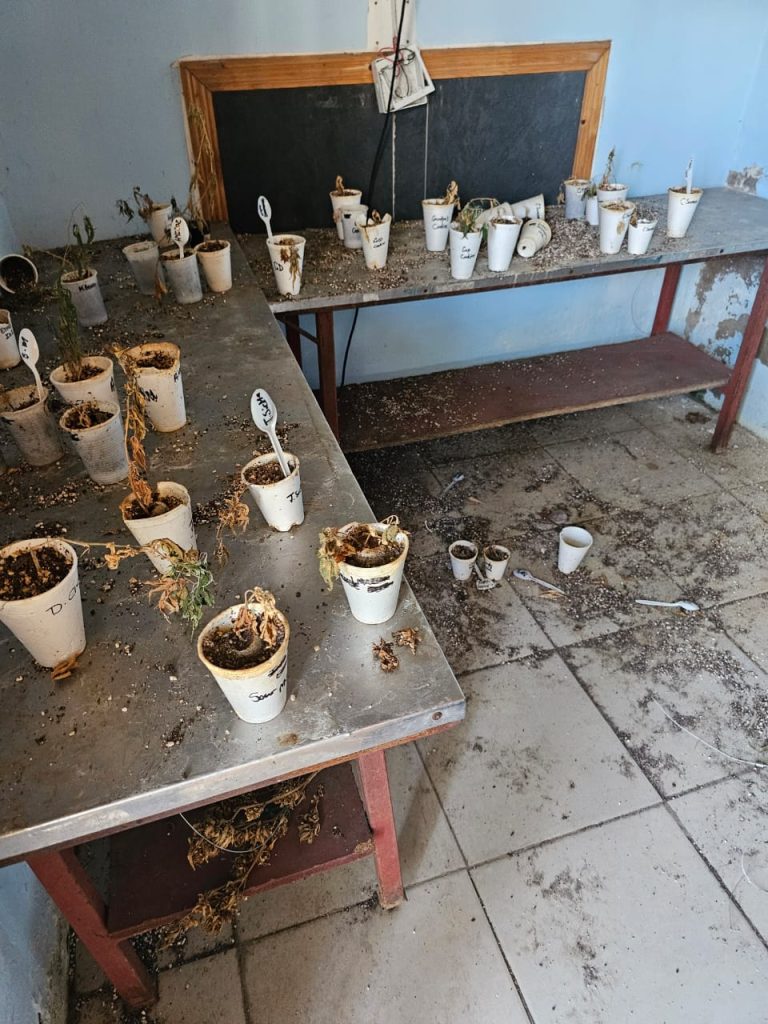 Multi-Agency Operation Nets Major Drug and Firearms Bust in Mpumalanga