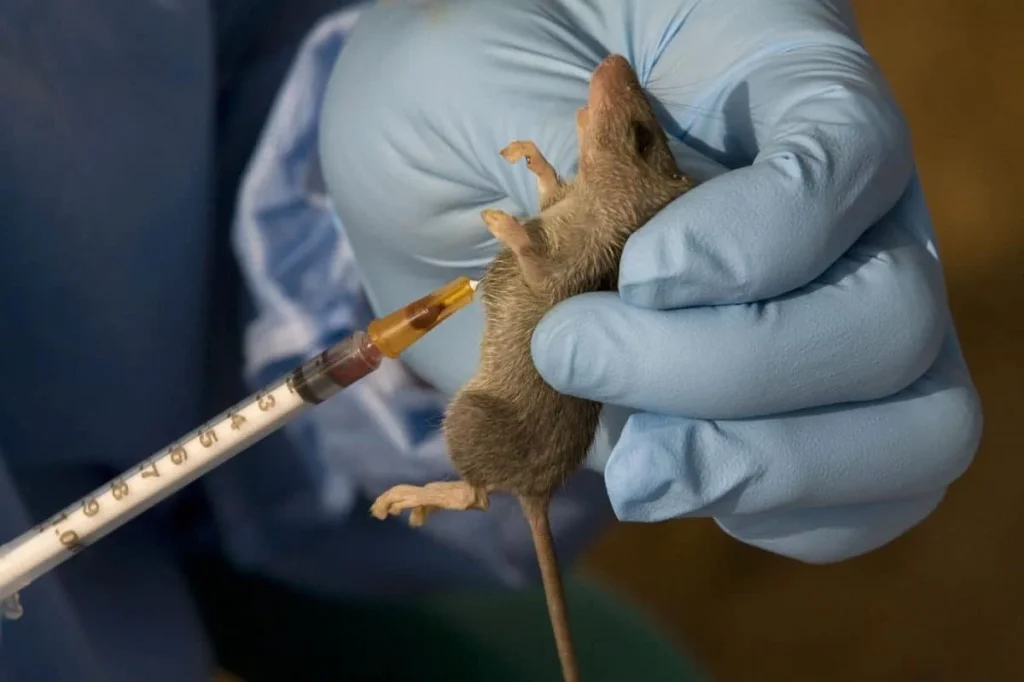 NCDC Reports 127 Deaths from Lassa Fever