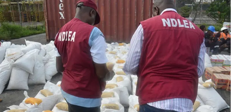 NDLEA Arrests Lagos Auto Dealer Over 77.5kg Cocaine and Cutting Agent