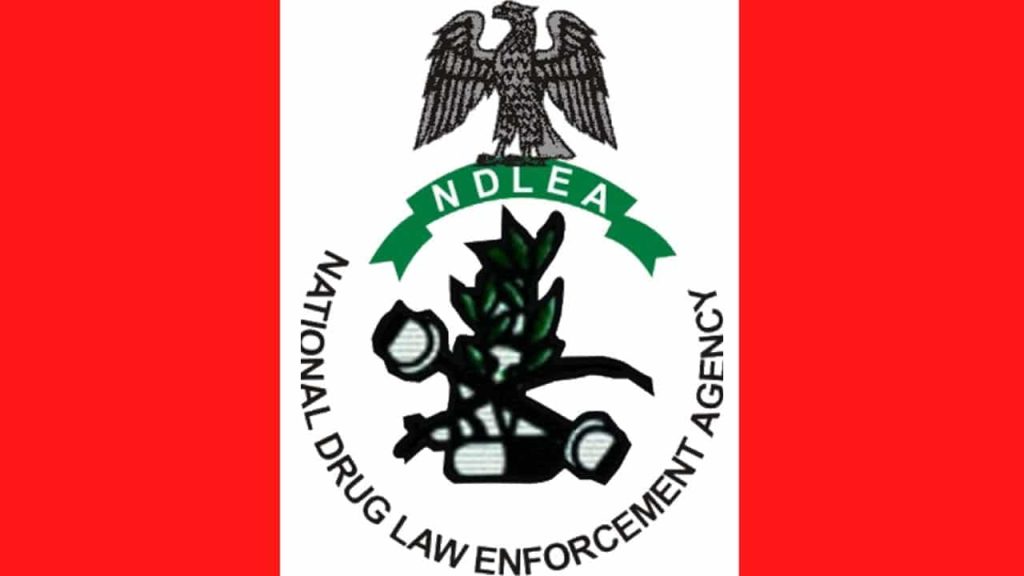 *NDLEA Busts International Drug Smuggling Plot Using Religious Texts