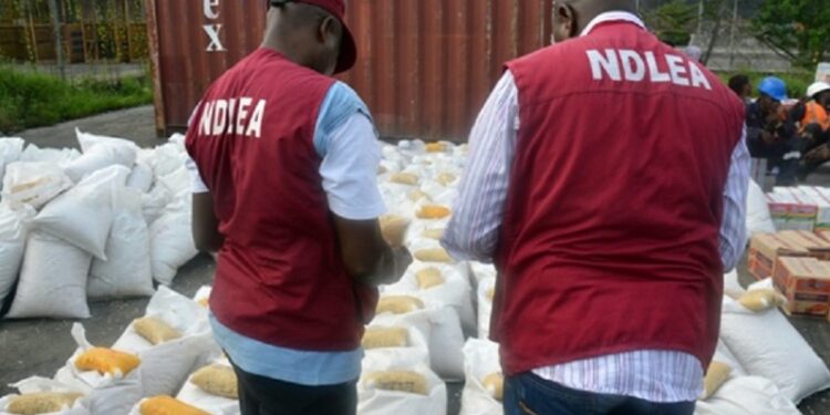 NDLEA Seizes Nearly 200,000 Tramadol Pills, Arrests Four in Cross-Border Drug Bust