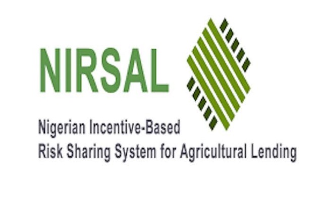 NIRSAL Appoints Babajide Arowosafe as New Managing Director