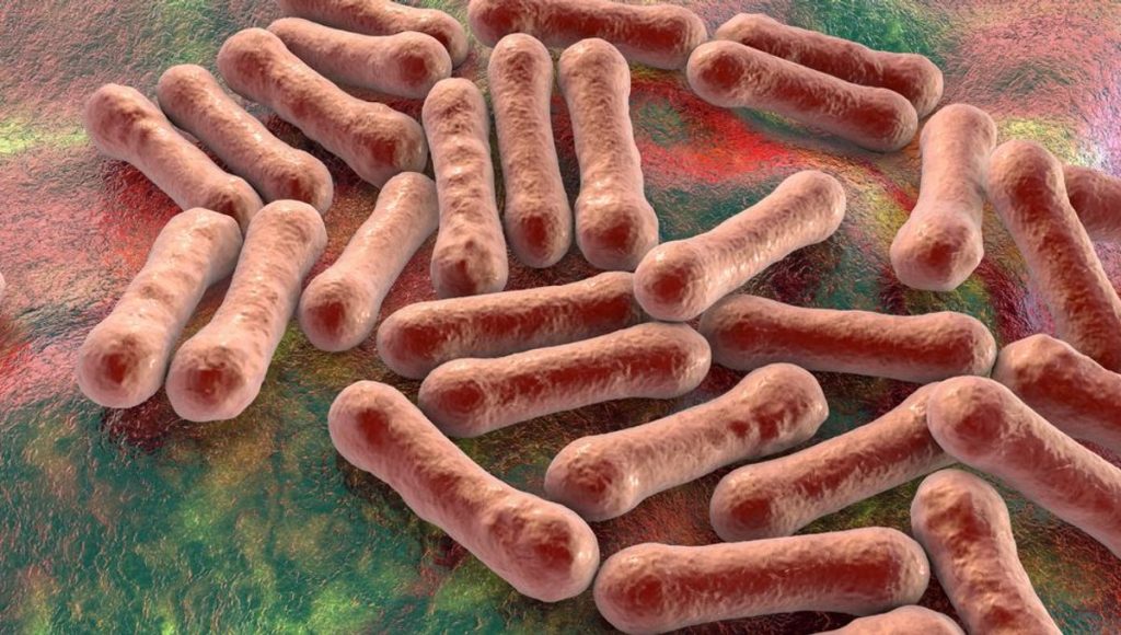 Nasarawa State Initiates Contact Tracing as Diphtheria Claims Four Young Lives