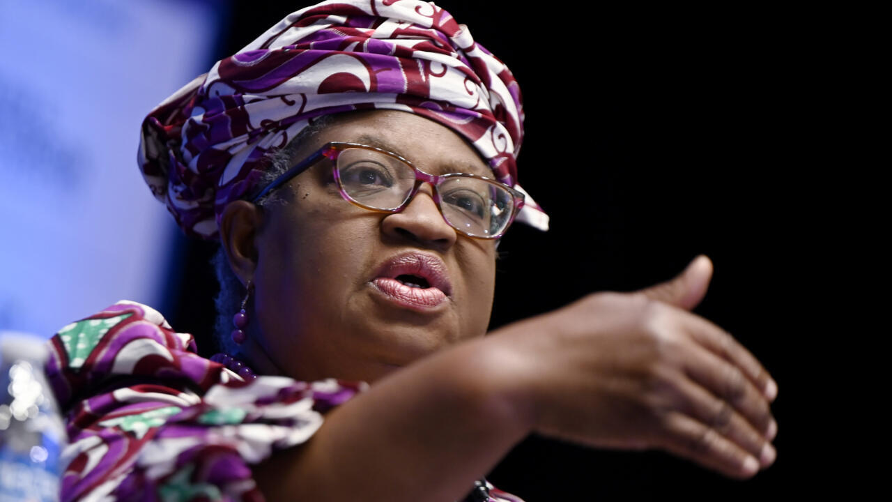 WTO Warns Trade Fragmentation Could Cut GDP (NewsCentral TV)