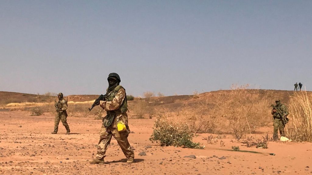 Niger Troops Killed in Terror Attack, Says Local Source