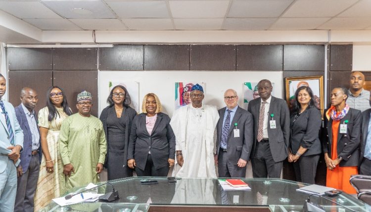 Nigeria Focuses on Health Education, Prevention to Reduce Disease Burden