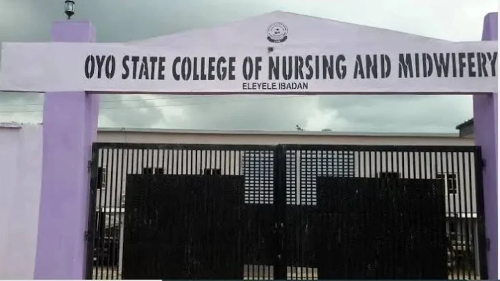 Nigeria: Oyo Government Plans Renaming of Two Tertiary Institutions