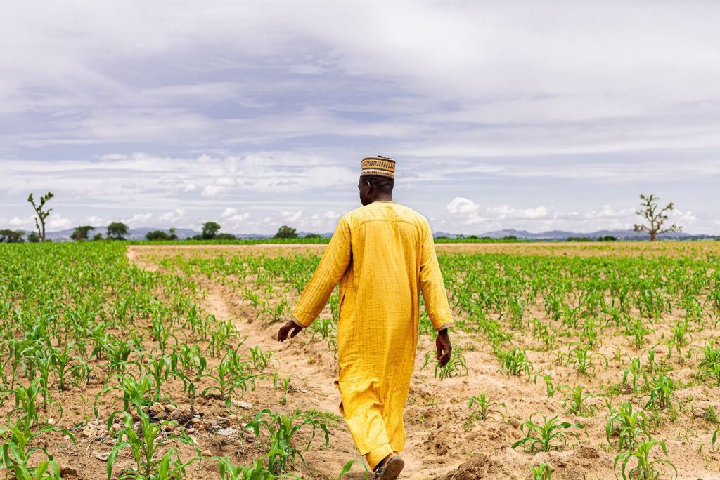 Nigeria Partners with SSSN to Drive Sustainable Farming