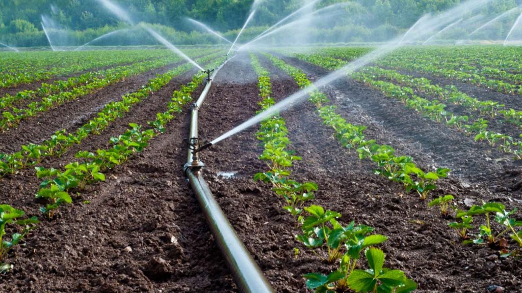 Nigeria Strengthens Water Management for Food Security and Sustainability