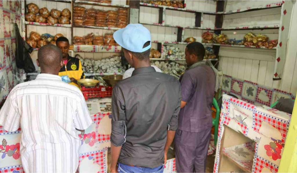 Nigerian Government's Initiative to Boost Small Businesses and Entrepreneurship