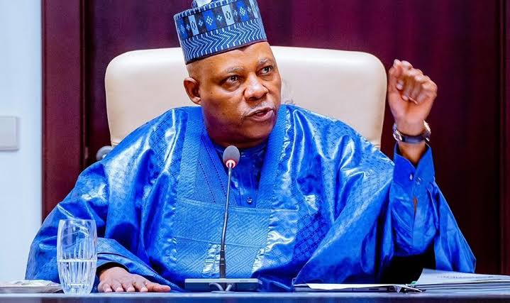 Nigeria's VP Shettima Advocates for African Trade Growth at World Economic Forum