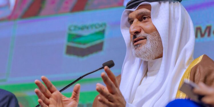 OPEC Warns Africa Against Rushing Energy Transition, Urges Investments