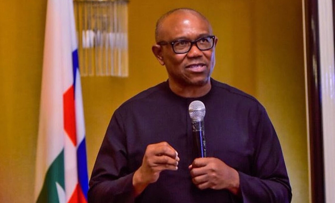 Peter Obi (News Central TV)