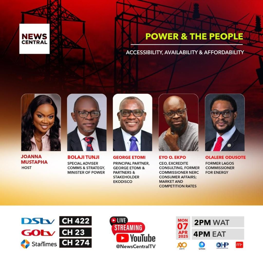 Mid-Term Check: Experts Weigh in on Nigeria’s Power Sector Reforms