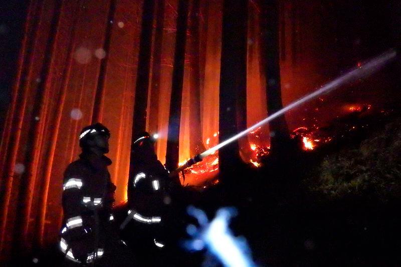 Rain and Snow Bring Hope in Japan’s Worst Wildfire in 50 Years