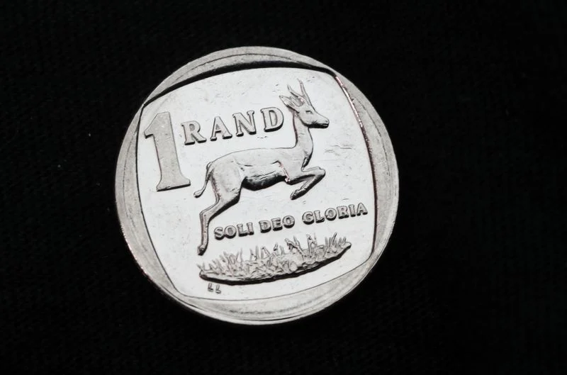 South Africa to Present New Budget After Scrapping VAT Hike