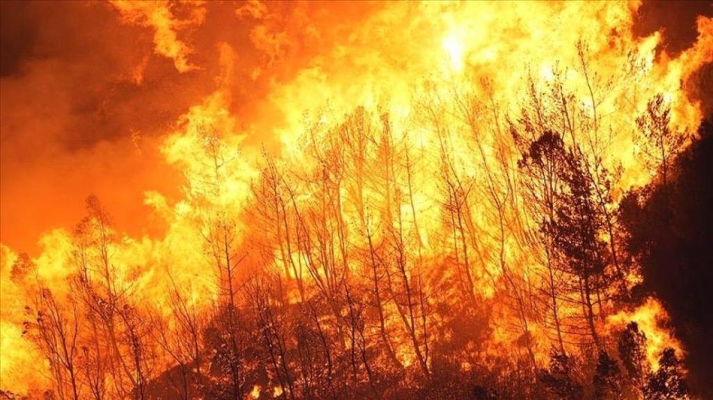 Record Low Rainfall Fuels Japan's Largest Wildfire in Decades