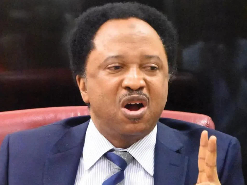 Shehu-Sani (News Central TV)