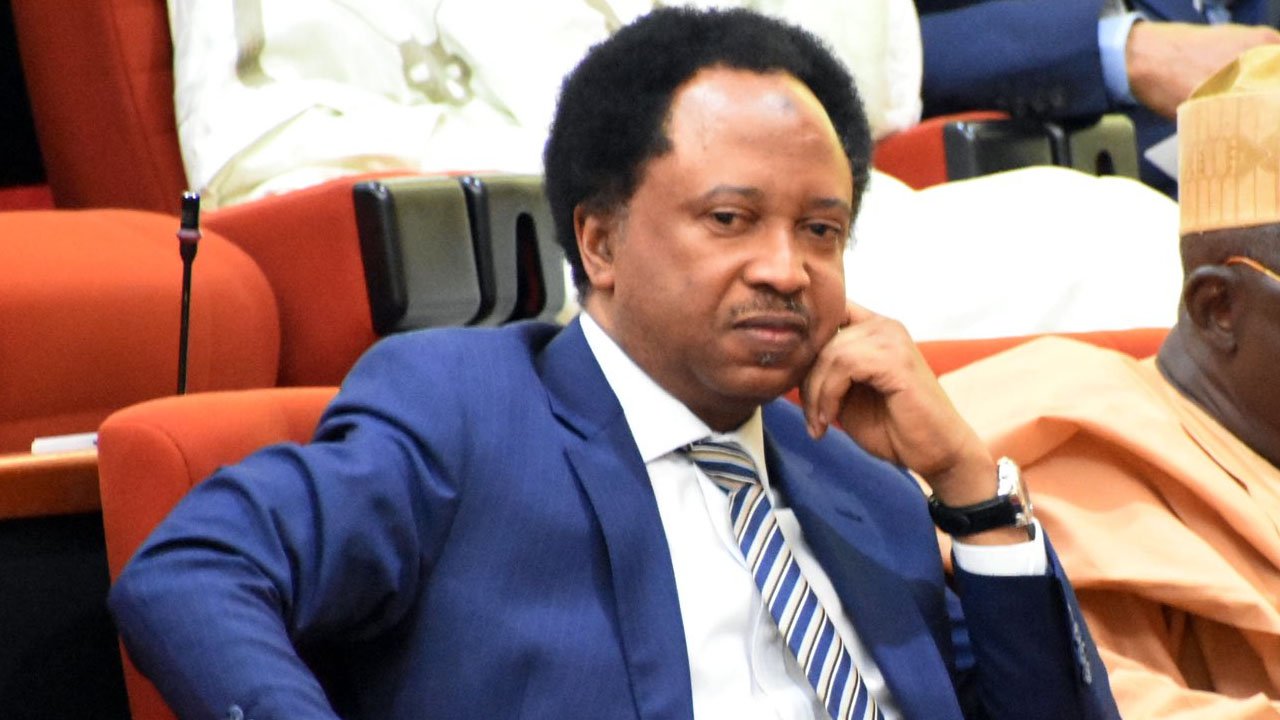 Shehu Sani (News Central TV)